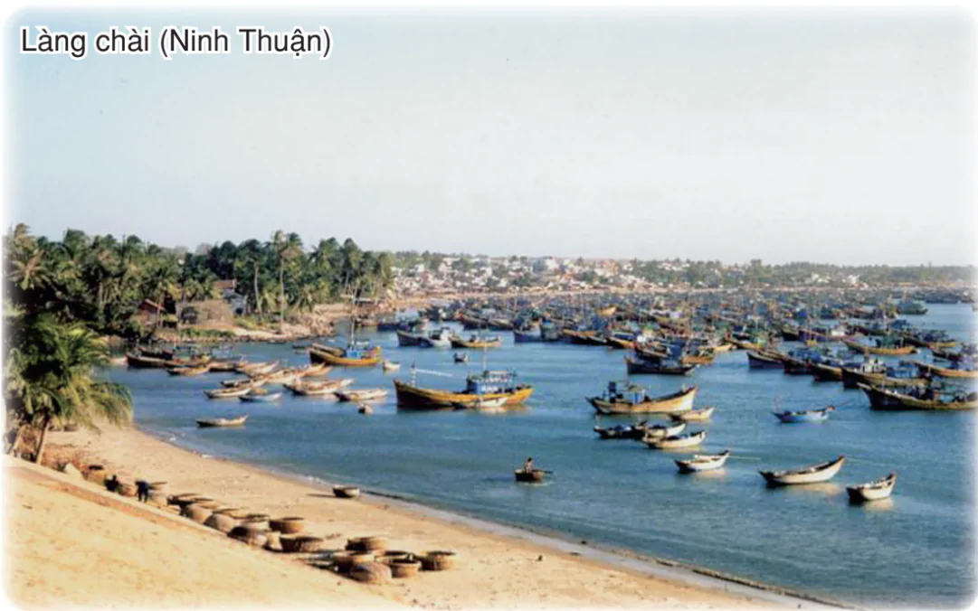 hinh-anh-bai-50-thuc-hanh-so-sanh-su-phat-trien-nganh-thuy-san-o-bac-trung-bo-va-duyen-hai-nam-trung-bo-2949-0