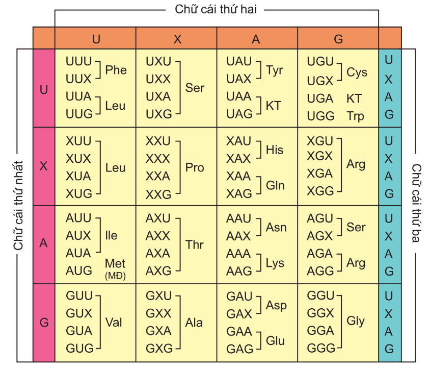 hinh-anh-bai-1-gen-ma-di-truyen-va-qua-trinh-nhan-doi-3115-1