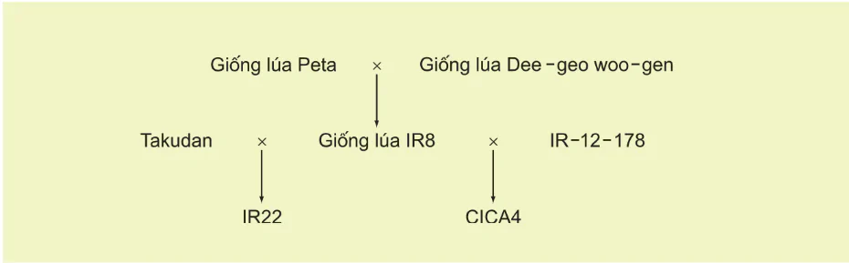 hinh-anh-bai-18-chon-giong-vat-nuoi-va-cay-trong-dua-tren-nguon-bien-di-to-hop-3132-1