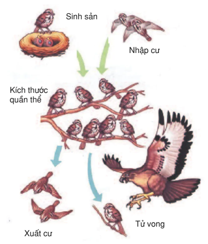 hinh-anh-bai-53-cac-dac-trung-co-ban-cua-quan-the-tiep-theo-3201-0