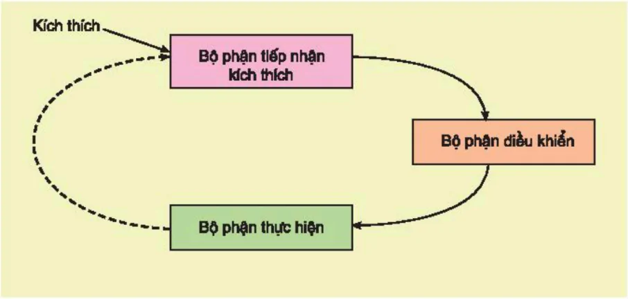 hinh-anh-bai-20-can-bang-noi-moi-3429-0