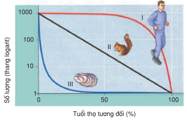 hinh-anh-bai-53-cac-dac-trung-co-ban-cua-quan-the-tiep-theo-3201-1