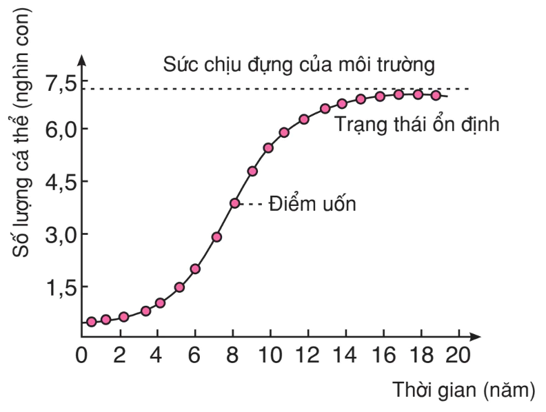 hinh-anh-bai-53-cac-dac-trung-co-ban-cua-quan-the-tiep-theo-3201-5