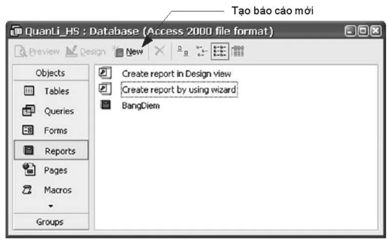 hinh-anh-phu-luc-3-mot-so-giao-dien-access-3113-27