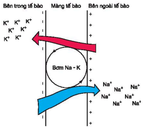 hinh-anh-bai-28-dien-the-nghi-3448-2