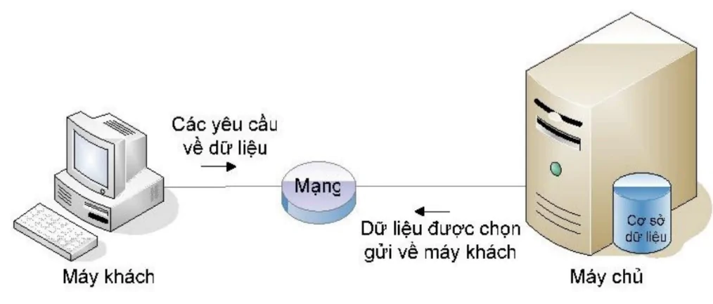 hinh-anh-bai-12-cac-loai-kien-truc-cua-he-co-so-du-lieu-3108-2