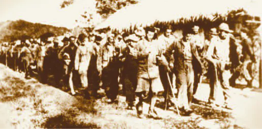 hinh-anh-bai-15-chien-thang-bien-gioi-thu-dong-1950-216-2