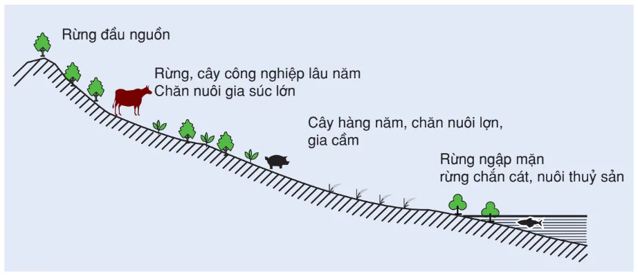 hinh-anh-bai-35-van-de-phat-trien-kinh-te-xa-hoi-o-bac-trung-bo-2880-0