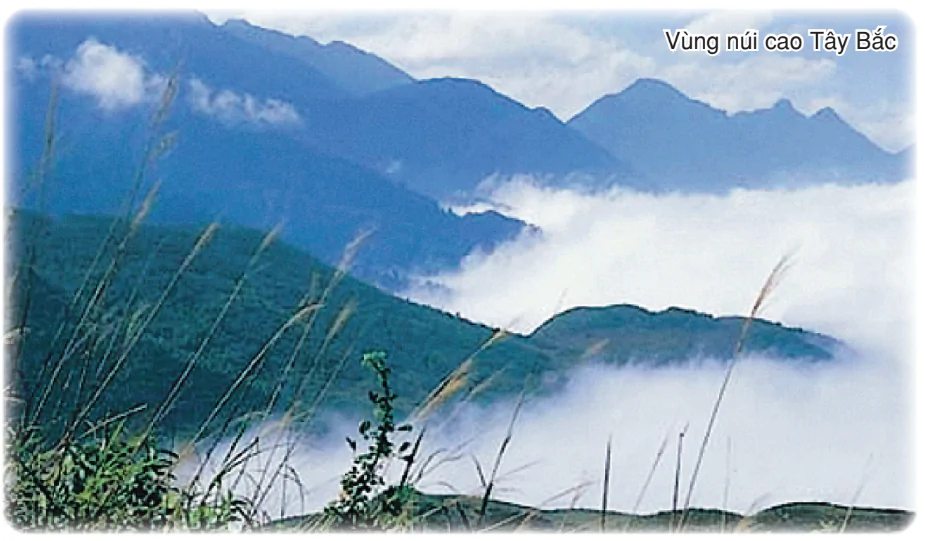 hinh-anh-bai-14-thien-nhien-phan-hoa-da-dang-tiep-theo-2913-0