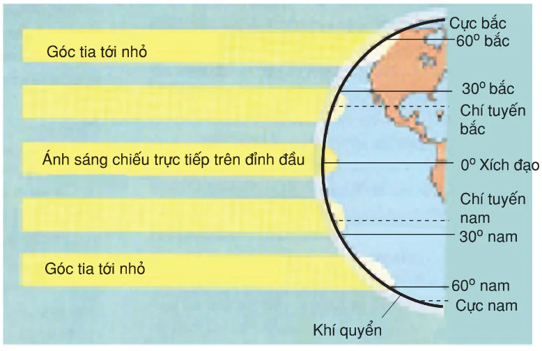 hinh-anh-bai-48-anh-huong-cua-cac-nhan-to-sinh-thai-len-doi-song-sinh-vat-3196-0