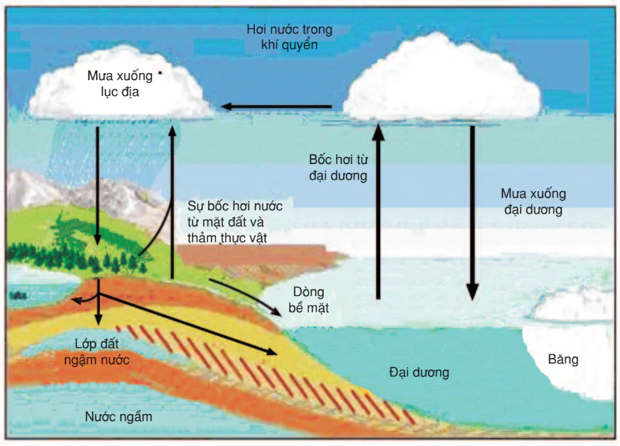 hinh-anh-bai-61-cac-chu-trinh-sinh-dia-hoa-trong-he-sinh-thai-3209-1