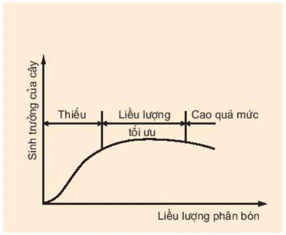hinh-anh-bai-4-vai-tro-cua-cac-nguyen-to-khoang-3378-3