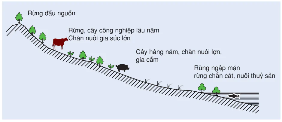 hinh-anh-bai-48-van-de-phat-trien-kinh-te-xa-hoi-o-bac-trung-bo-2947-0