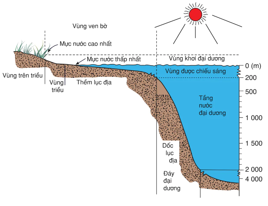 hinh-anh-bai-63-sinh-quyen-3211-4