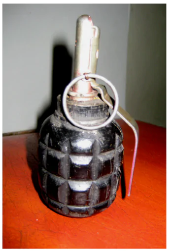 hinh-anh-bai-6-ki-thuat-su-dung-luu-dan-3302-0