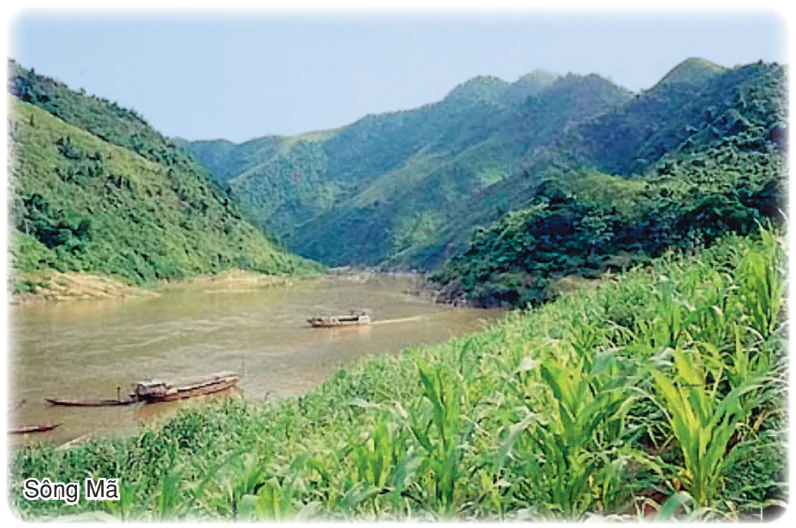 hinh-anh-bai-48-van-de-phat-trien-kinh-te-xa-hoi-o-bac-trung-bo-2947-2