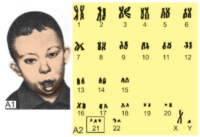 hinh-anh-bai-27-phuong-phap-nghien-cuu-di-truyen-nguoi-3175-1