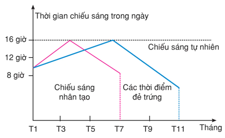 hinh-anh-bai-48-anh-huong-cua-cac-nhan-to-sinh-thai-len-doi-song-sinh-vat-3196-3