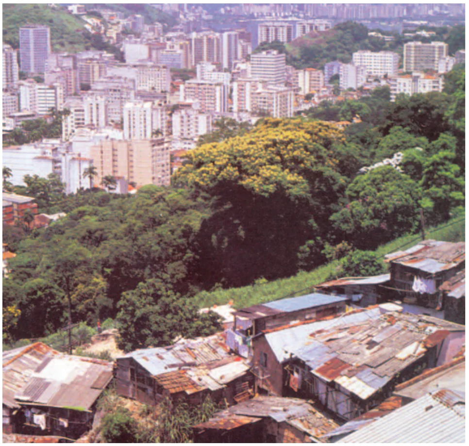 hinh-anh-bai-8-cong-hoa-lien-bang-bra-xin-3273-3