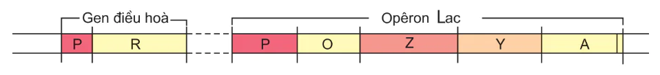 hinh-anh-bai-3-dieu-hoa-hoat-dong-gen-3117-0