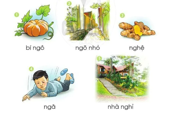 hinh-anh-bai-22-chu-ng-ngh-23-1 hinh-anh-bai-22-chu-ng-ngh-23-1