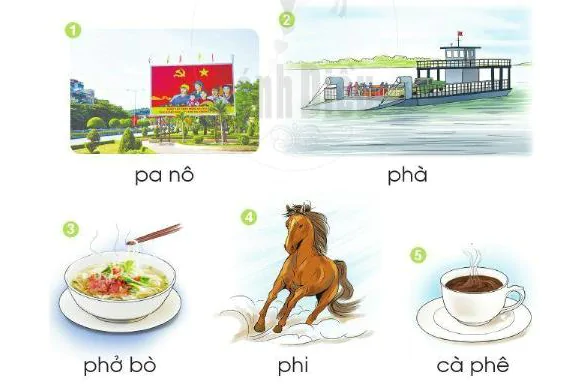 hinh-anh-bai-23-chu-p-ph-24-1 hinh-anh-bai-23-chu-p-ph-24-1