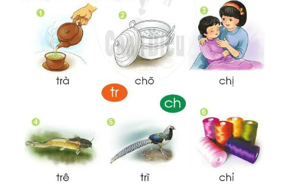 hinh-anh-bai-29-chu-tr-ch-30-1 hinh-anh-bai-29-chu-tr-ch-30-1