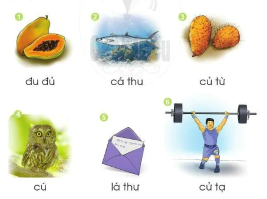 hinh-anh-bai-30-chu-u-u-31-1 hinh-anh-bai-30-chu-u-u-31-1