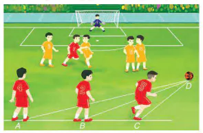 hinh-anh-bai-31-quan-he-giua-goc-va-canh-doi-dien-trong-mot-tam-giac-9539-1
