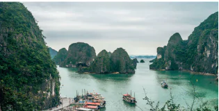 hinh-anh-6-language-focus-defining-and-non-defining-relative-clauses-11611-0