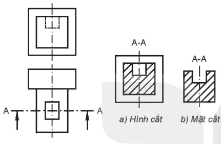 hinh-anh-bai-10-hinh-cat-va-mat-cat-11972-8