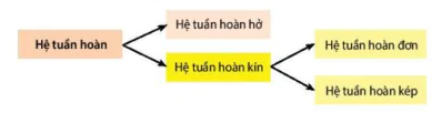 hinh-anh-bai-10-tuan-hoan-o-dong-vat-12076-0