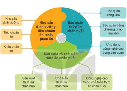 hinh-anh-on-tap-chuong-iii-12197-0