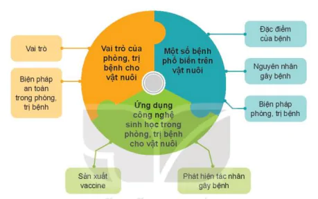 hinh-anh-on-tap-chuong-iv-12203-0