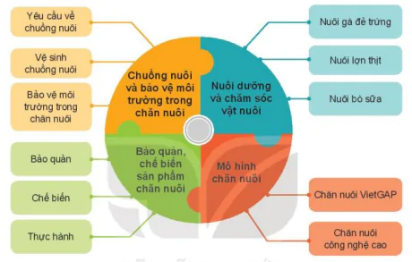 hinh-anh-on-tap-chuong-v-12210-0