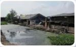 hinh-anh-bai-21-su-can-thiet-phai-bao-ve-moi-truong-trong-chan-nuoi-12211-0