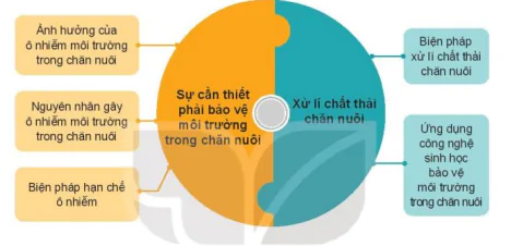 hinh-anh-on-tap-chuong-vi-12261-0