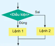 hinh-anh-bai-19-cau-lenh-re-nhanh-if-12273-0