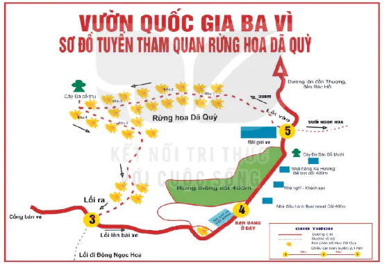 hinh-anh-doc-12597-4