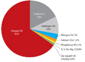hinh-anh-bai-4-cac-nguyen-to-hoa-hoc-va-nuoc-12803-0
