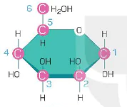 hinh-anh-bai-5-cac-phan-tu-sinh-hoc-12804-1