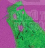 hinh-anh-bai-10-trao-doi-chat-qua-mang-te-bao-12823-0