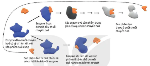 hinh-anh-bai-13-khai-quat-ve-chuyen-hoa-vat-chat-va-nang-luong-12834-10