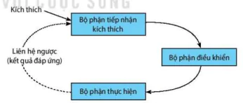 hinh-anh-bai-13-bai-tiet-va-can-bang-noi-moi-12828-2