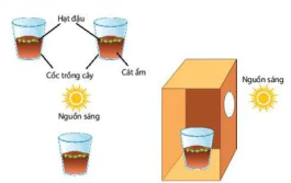 hinh-anh-bai-16-thuc-hanh-cam-ung-o-thuc-vat-12838-0