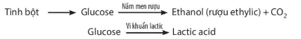 hinh-anh-bai-22-vai-tro-va-ung-dung-cua-vi-sinh-vat-12871-3