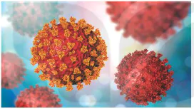 hinh-anh-bai-25-mot-so-benh-do-virus-va-cac-thanh-tuu-nghien-cuu-ung-dung-virus-12882-0