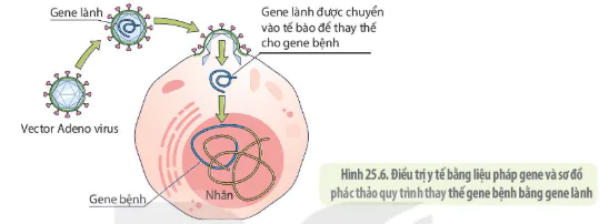 hinh-anh-bai-25-mot-so-benh-do-virus-va-cac-thanh-tuu-nghien-cuu-ung-dung-virus-12882-7