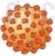 hinh-anh-bai-26-thuc-hanh-dieu-tra-mot-so-benh-do-virus-va-tuyen-truyen-phong-chong-benh-12884-0