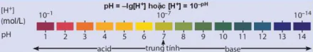 hinh-anh-bai-3-on-tap-chuong-1-13178-1